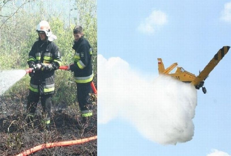 Pożar lasu w Piaseczni