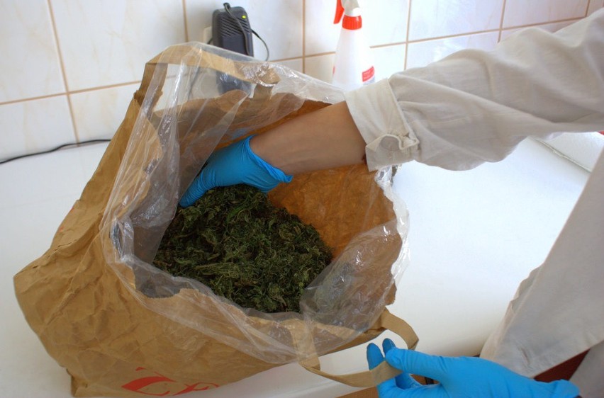 Narkotyki mundurowi znaleźli wczoraj w mieszkaniu przy ul....