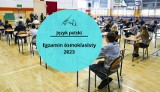 Egzamin ósmoklasisty 2023. Język polski: wymagania, co powtórzyć i streszczenia obowiązkowych lektur