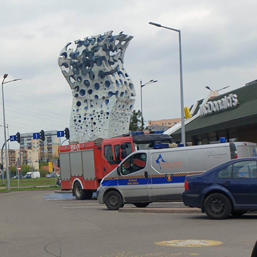 Nietypowa interwencja straży pożarnej na Widzewie w Łodzi. Ptak uwięziony... w pomniku ZDJĘCIA