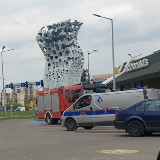 Nietypowa interwencja straży pożarnej na Widzewie w Łodzi. Ptak uwięziony... w pomniku ZDJĘCIA