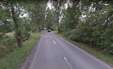 Ścieżka rowerowa przy ul. Krapkowickiej w Opolu. Uda się uratować drzewa przeznaczone do wycinki?