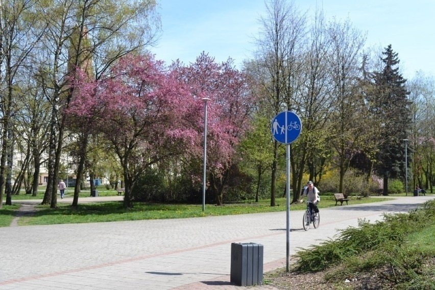 Park Hallera w Dąbrowy Górniczej to mała oaza zieleni w...