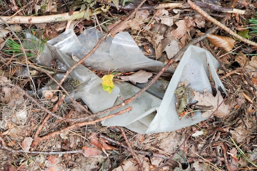 Tak wyglądają śmieci walające się w Lesie Zwierzynieckim.