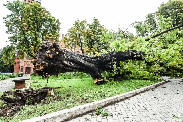 Sprawdź, co jeszcze wydarzyło się 5 lipca w Bydgoszczy.