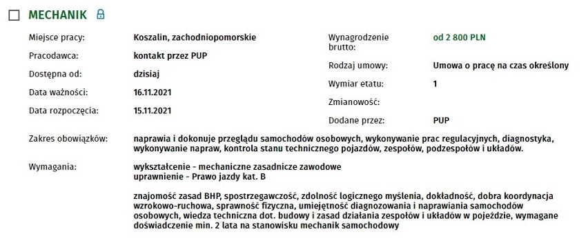 Szukasz pracy w Koszalinie i regionie? Sprawdź, jakie oferty...