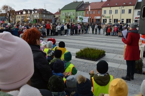 Maków Maz. "Maków - miasto czystego powietrza" - happening na makowskim rynku