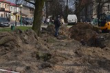 W centrum Końskich ruszyła ekshumacja szczątków żołnierzy niemieckich