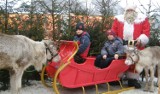 Nowy Targ. Masa atrakcji podczas Targów Bożonarodzeniowych