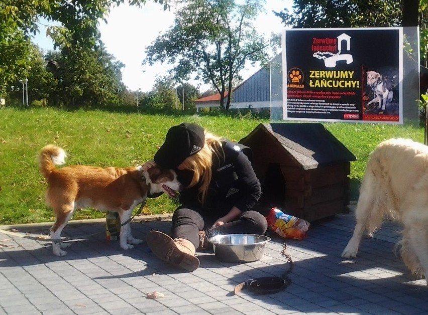 Oświęcim. Wywalczyli wyrok bezwzględnego więzienia za zabicie suczki