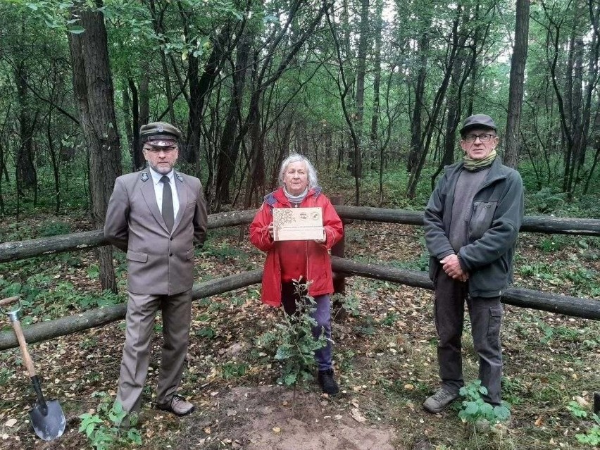 Zasadzili Drzewa Dziedzictwa Polskiego Towarzystwa Turystyczno-Krajoznawczego [ZDJĘCIA]