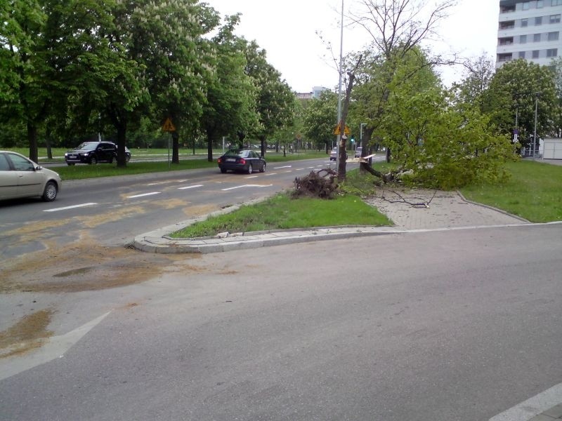 Wypadek na ul. Branickiego. Bus dachował, zapalił się i powalił przydrożne drzewo (zdjęcia)