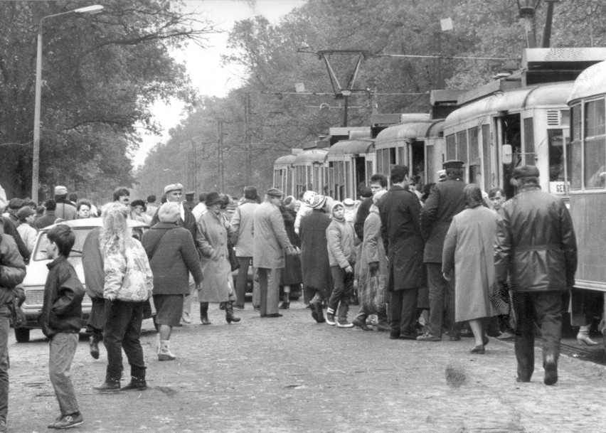 Często narzekamy na wrocławską komunikację zbiorową: bo...