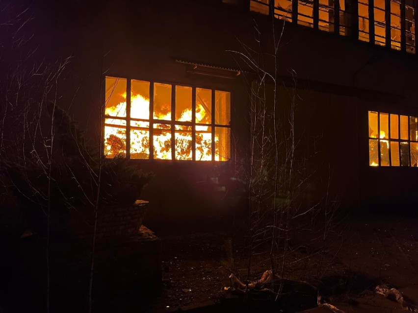 Potężny pożar w Tarnobrzegu! Spłonęła hala w strefie przemysłowej w Machowie. Zobacz zdjęcia