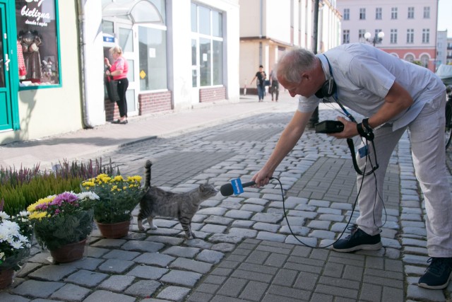 Tak było 8 sierpnia w Grodkowie.