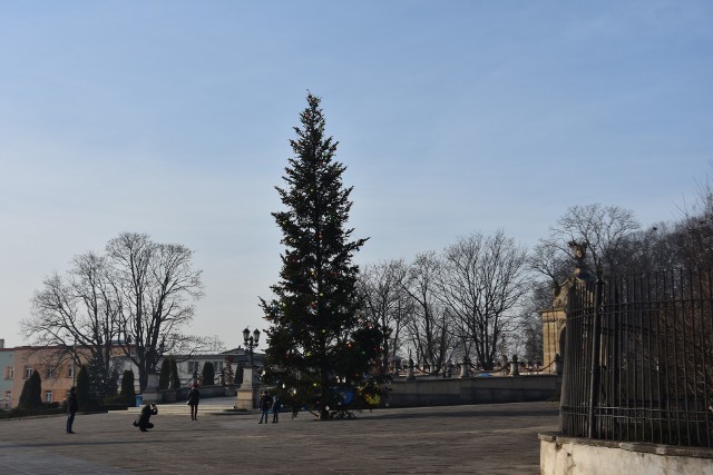 Na Jasnej Górze stanęła kilkunastometrowa choinka