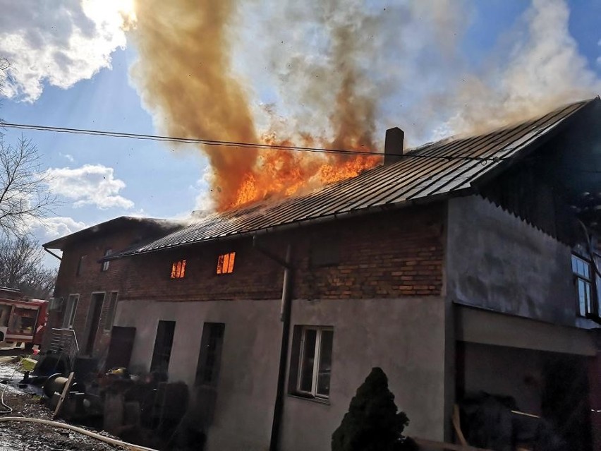 Pożar, który wybuchał 10 marca w starym młynie w Sygneczowie...