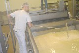Jak wygląda produkcja masła i sera w firmie i Masmal! [wideo i foto]