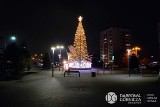 Dąbrowa Górnicza: Świąteczna choinka stanęła w centrum miasta. Drzewko mieni się ponad 30 tysiącami światełek 