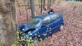 Auto wypadło z drogi pod Międzyzdrojami. Jedna osoba ranna