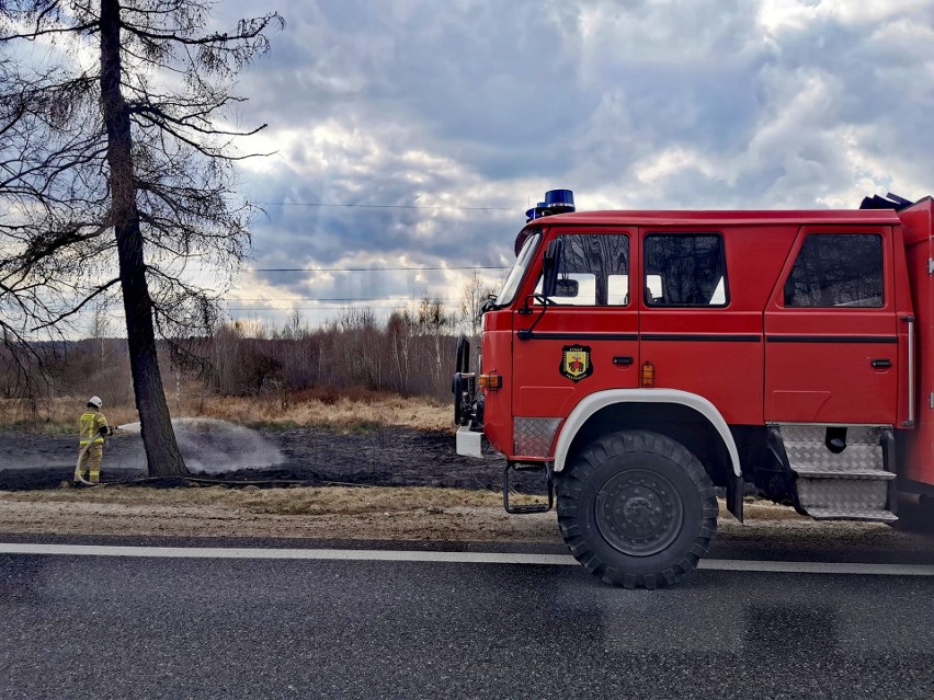 Pożar w gminie Gielniów. Paliły się trawy w okolicach Goździkowa
