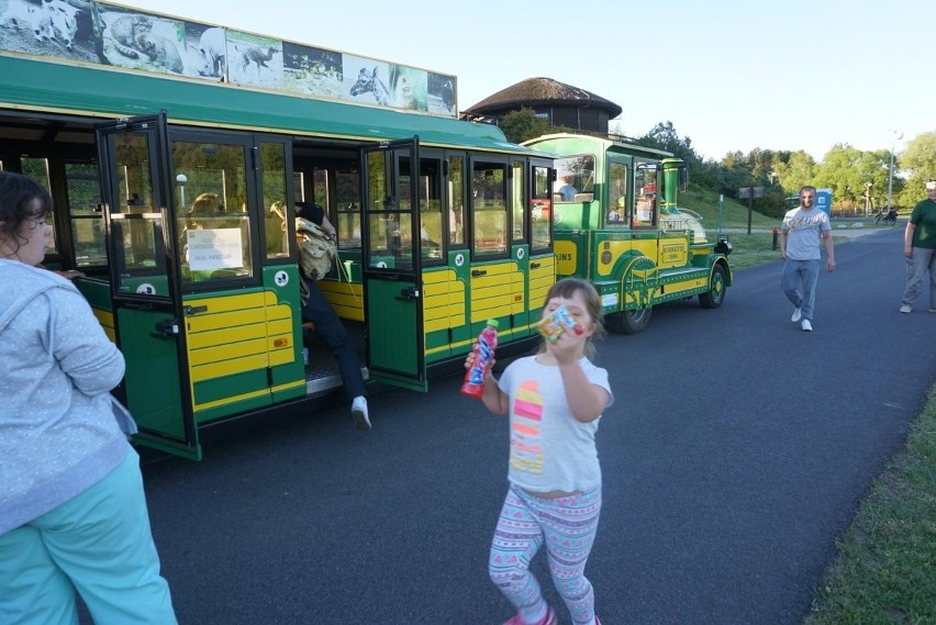 Poznań: Niezapomniana "Noc Marzeń" Nowym Zoo cieszyła dzieci...