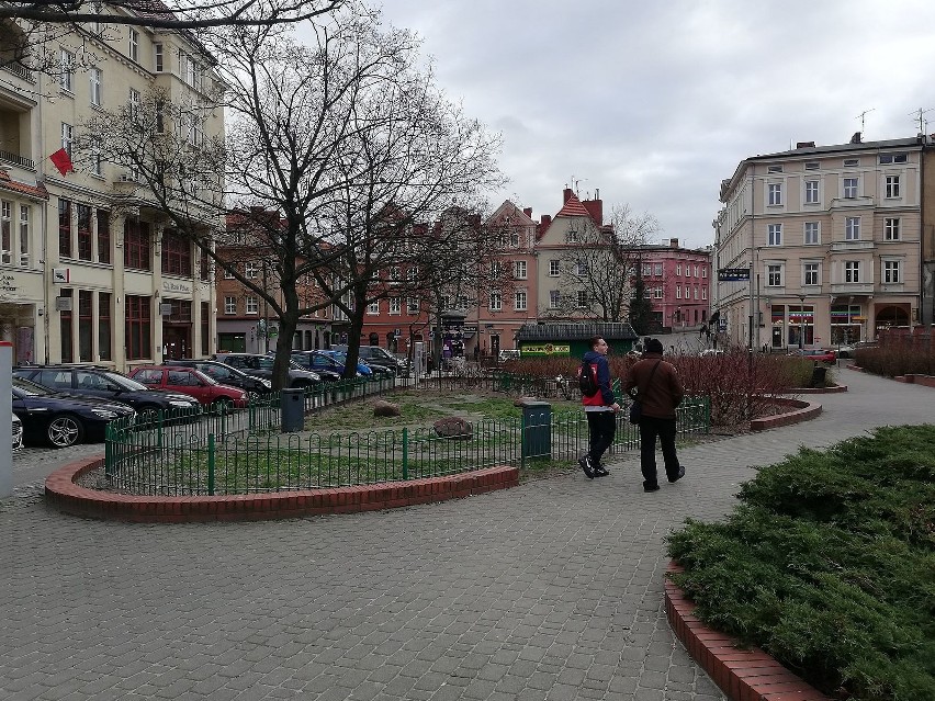 Poznań: Skwer Wilhelmiego wymaga uporządkowania. We wtorek konsultacje dla mieszkańców