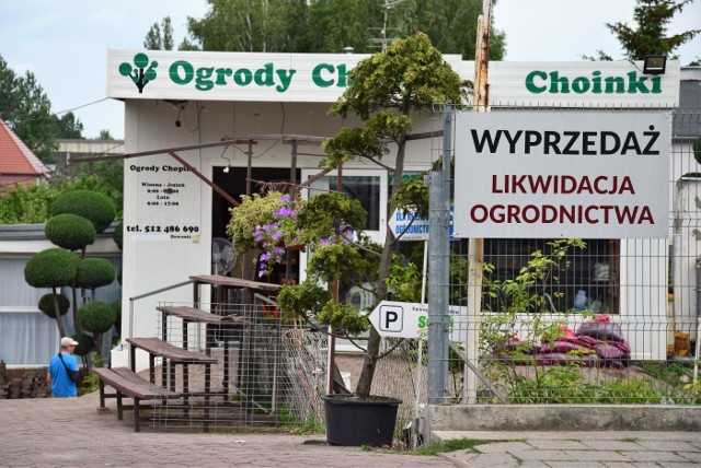 Likwidacja ogrodnictwa przy ul. Chopina w Zielonej Górze. Trwa wyprzedaż