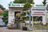 Znika ogrodnictwo przy ul. Chopina w Zielonej Górze. Wielu zielonogórzan nie może w to uwierzyć [WIDEO, ZDJĘCIA]