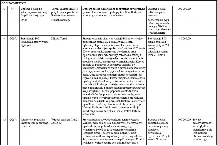 125 projektów zaproponowanych przez torunian trafi pod...