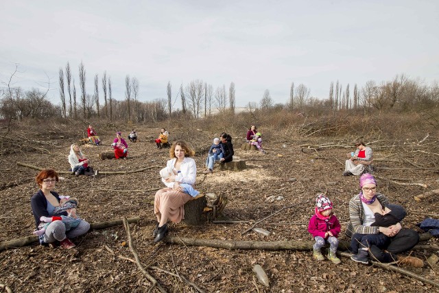Kobiety protestują, karmiąc dzieci na terenach wycinki drzew