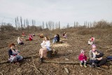 "Matki Polki na wyrębie" chcą lecieć do papieża  