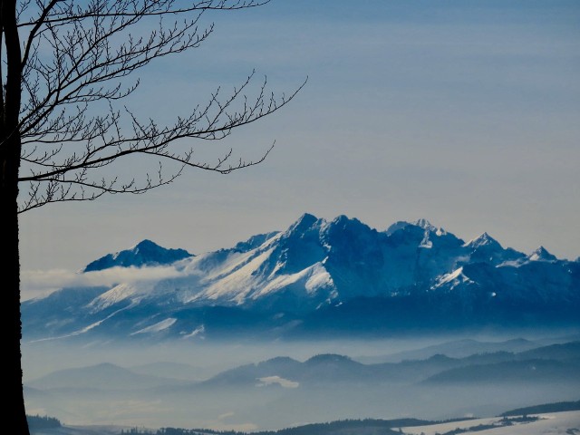 Tatry widziane z Pustej Wielkiej