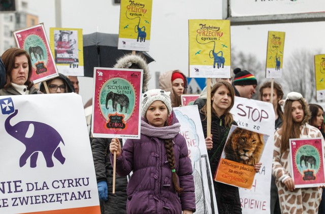 Pikieta "Stop cyrkom ze zwierzętami" w Rzeszowie.