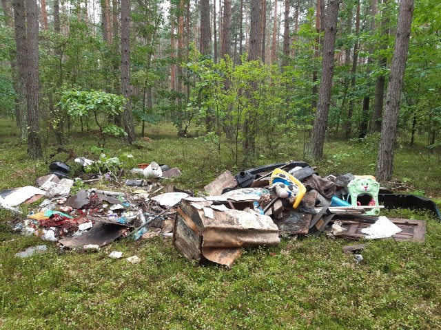 W związku z coraz większą ilością śmieci na terenach leśnych Nadleśnictwa Ostrów Mazowiecka, Straż Leśna rozpoczęła wzmożone patrole.