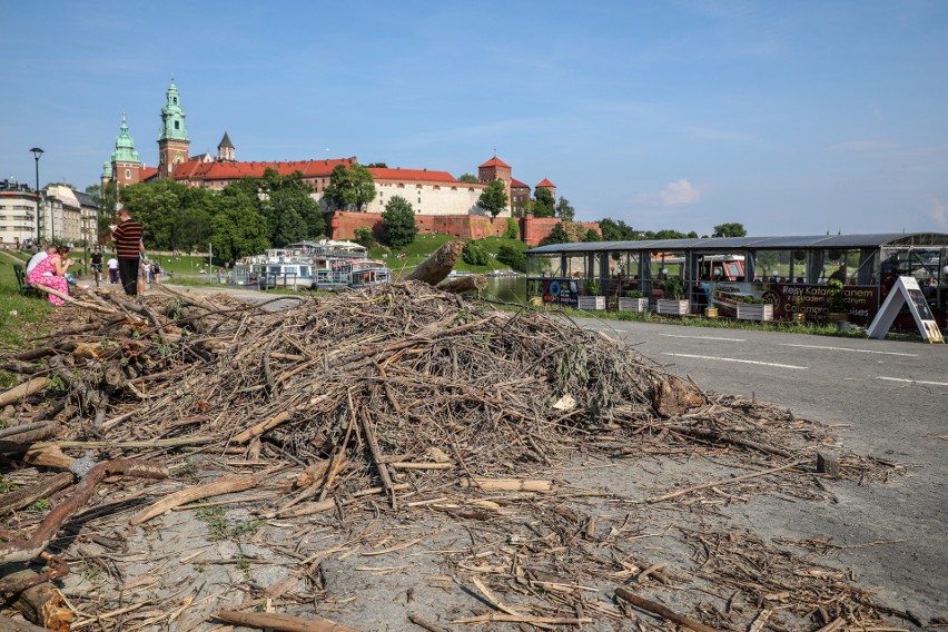 Kraków. Ogrom śmieci na bulwarach Wisły, czas na wielkie sprzątanie