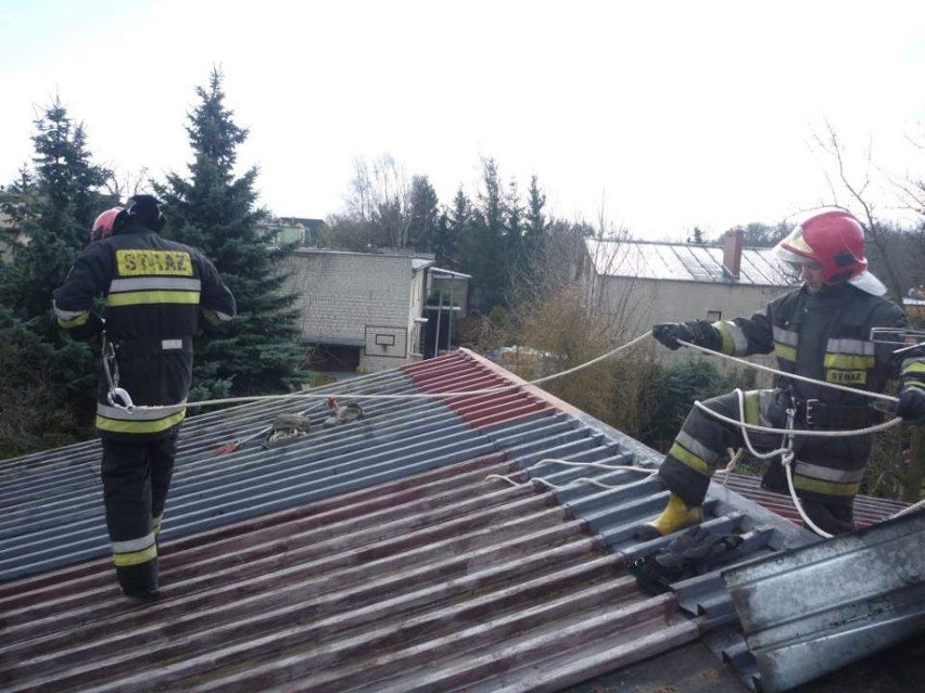 Strażacy zabezpieczyli dach w Owińskach uszkodzony przez...