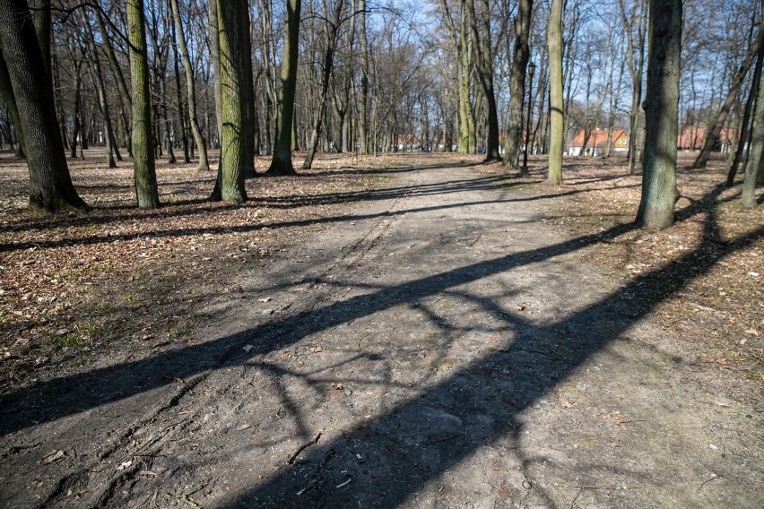 Park Lubomirskich na Dojlidach