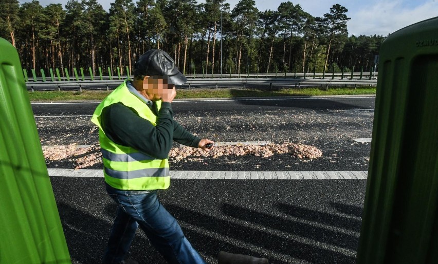 W piątek rano strażacy z Bydgoszczy oraz z OSP Brzoza...