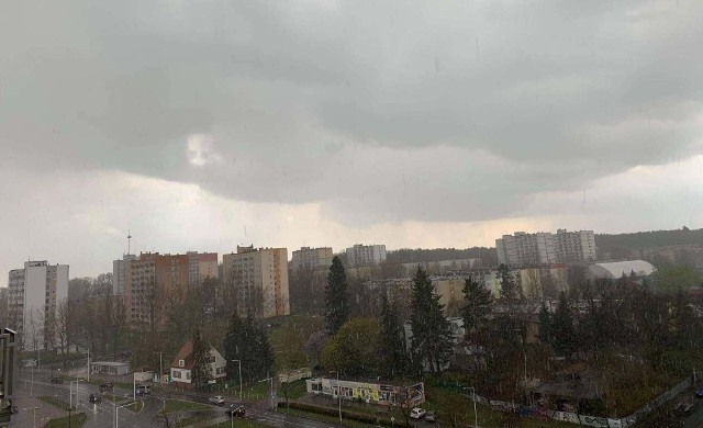 Nad zachodnią Polskę nadciągnęły chmury, z których może spaść deszcz. Lokalnie pojawią się pierwsze wiosenne burze. Podczas burz opady mogą być obfite, a wiatr porywisty. Ok. godz. 14 mocno zachmurzyło się w Zielonej Górze i okolicach. Było słychać pojedyncze wyładowania. W samym mieście przez chwilę padał grad. - Podobna pogoda jest w Żarach - informuje nasza reporterka. - Tu także przez chwilę padał grad.Nad sporą częścią województwa wiszą ciężkie granatowe chmury i w każdej chwili może zagrzmieć. Również na środę, 21 kwietnia, synoptycy zapowiadają deszcz, ale już bez burz. Słońce wyjrzy zza chmur dopiero w czwartek.Wideo: Grad w ŻarachWideo: Chmura lejowa nad GórzynemPolecamy także: Seria niezwykłych zjawisk na lubuskim niebie. Te zdjęcia robią wrażenie