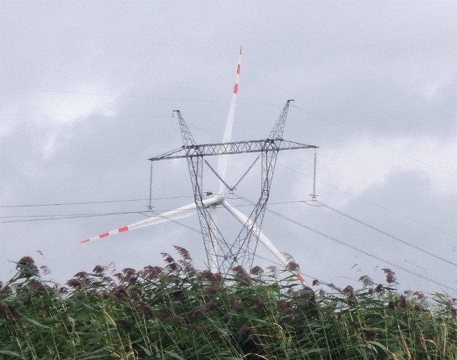 Potrzeby energetyczne regionu i kraju, i te związane z ochroną krajobrazu nie idą w parze. Audyt Krajobrazowy wytypuje priorytetowe obszary, które należy chronić.