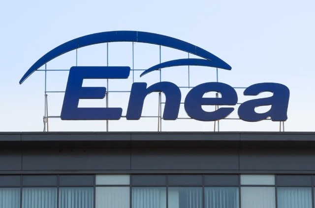 Grupa Enea jest wiceliderem polskiego rynku elektroenergetycznego w zakresie produkcji energii elektrycznej
