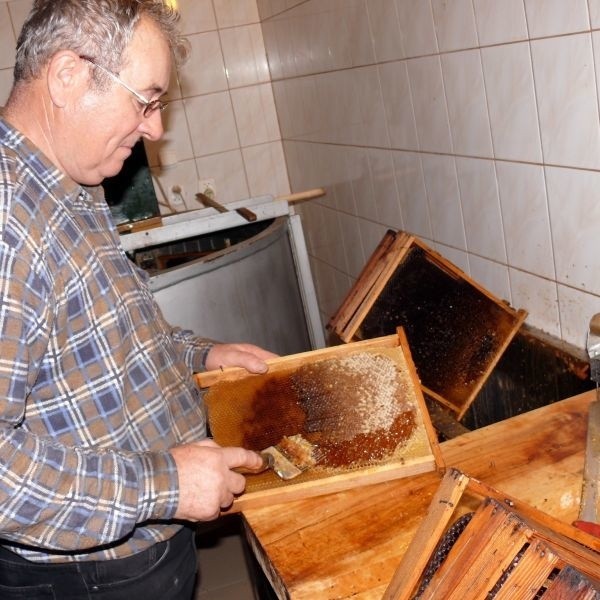 W gospodarstwie Alfreda Nakonecznego jest miód sprawdzonej jakości, ale producent obawia się o wpływ ciepłej zimy na pozyskanie miodu.