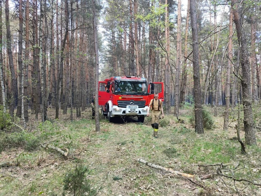 Kilka dni trwało dogaszanie pożaru w gminach Nowe Miasto nad Pilicą i Odrzywół. Znamy szczegóły wielkiej akcji strażaków. Są nowe zdjęcia