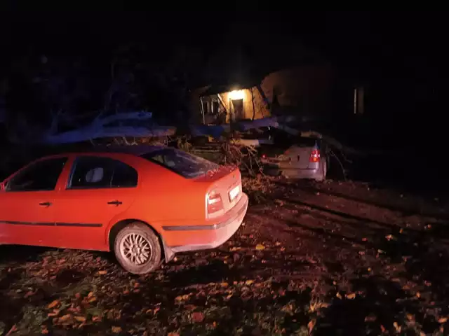 W Moskorzewie powalone drzewo uszkodziło dwa zaparkowane samochody
