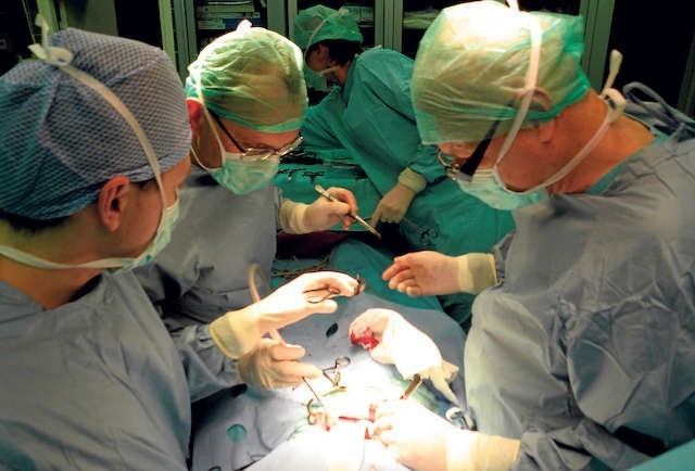 Sale bloku szpitala im.  dr. Antoniego Jurasza są przystosowane do wykonywania przeszczepów wątroby.
