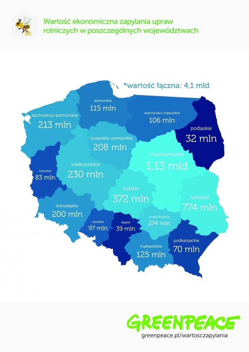 Pomorskie rolnictwo zawdzięcza pszczołom 115 mln zł