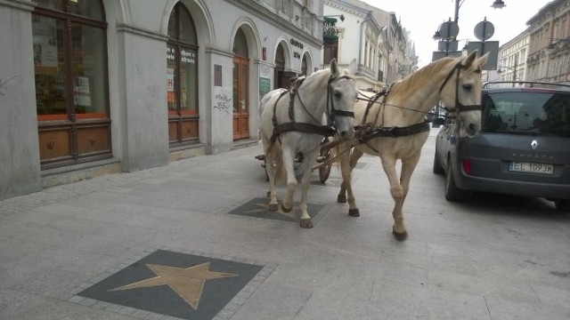 Do wypadku doszło na ul. Piotrkowskiej