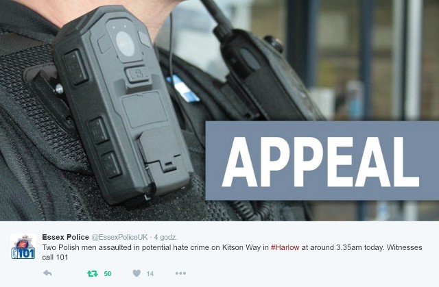 Policja z Essex apeluje o pomoc świadków