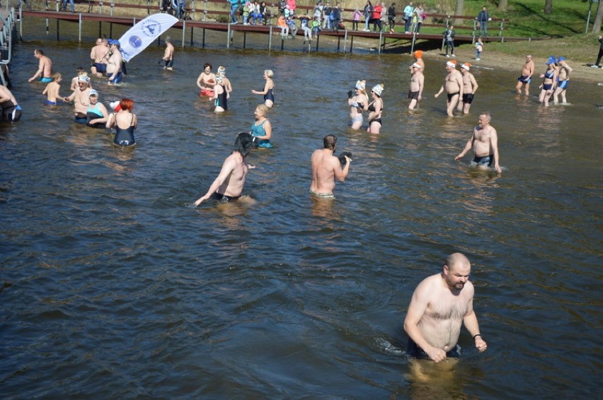 Dla morsów z Przechlewa woda była za ciepła